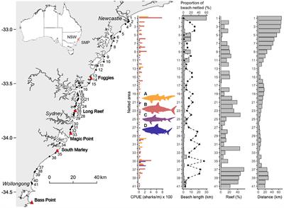 A “Wicked Problem” Reconciling Human-Shark Conflict, Shark Bite Mitigation, and <mark class="highlighted">Threatened Species</mark>